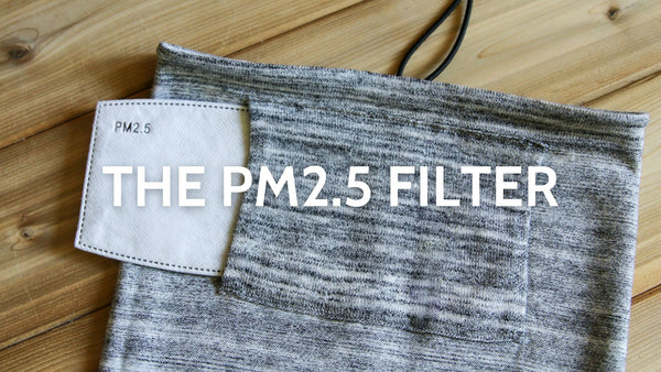 PM2.5 filter