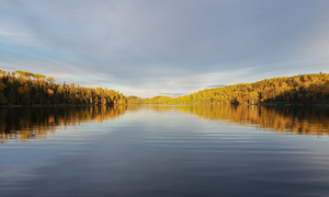 Paddling a clear northern lake at dawn.