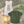 THE GREEN THUMB BUNDLE