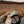 TRADDLE MAP BRIM TRUCKER