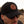 TRADDLE PATCH SNAPBACK