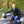 Man sitting on an ATV in a forested area wearing abode outside